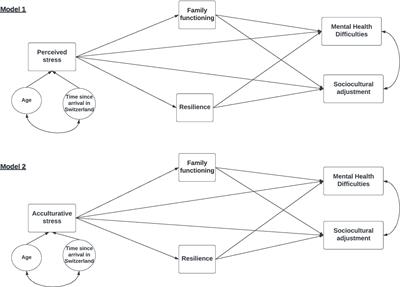 Stress, mental health and sociocultural adjustment in third culture kids: exploring the mediating roles of resilience and family functioning